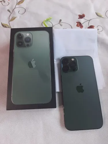 iPhone 13 Pro Max 256G