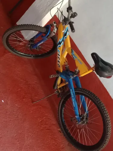 Bicicleta