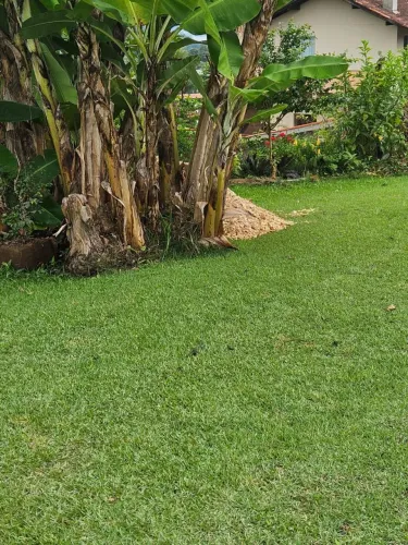 limpeza de jardim