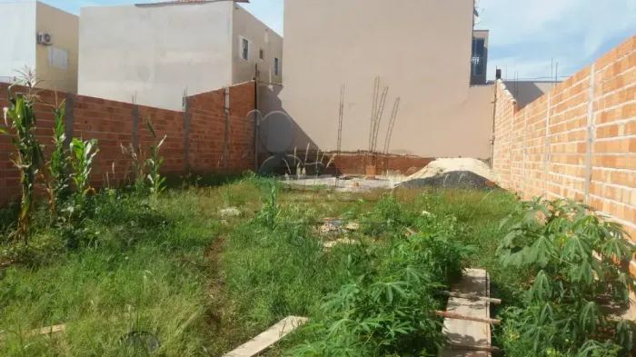 TERRENO EM BARRINHA