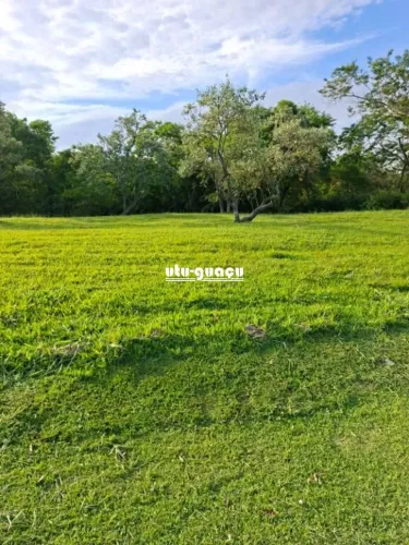 Terreno à venda com 3.200 m² e topografia plana no Condomínio Fazenda Vila Real de Itu, It