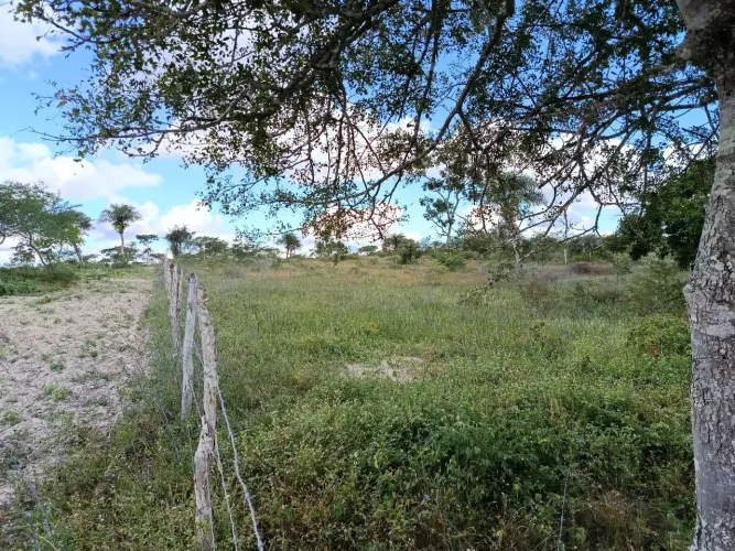 Terreno para sitio 7,5 tarefas 