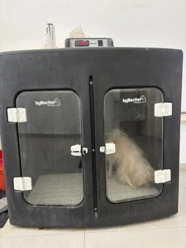 Máquina de secar pet,