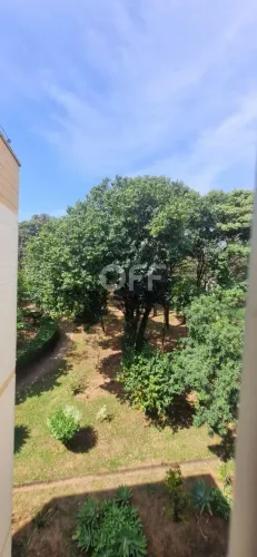 apartamento - Jardim do Vovô - Campinas