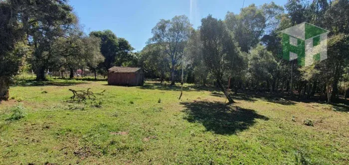 Terreno à venda em Antônio Olinto - Água Amarela - PR