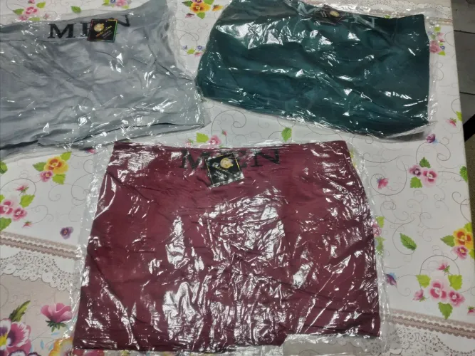 Ropa interior home