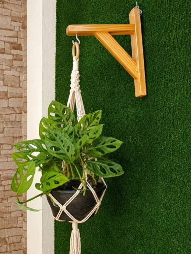 Suporte para Plantas.
