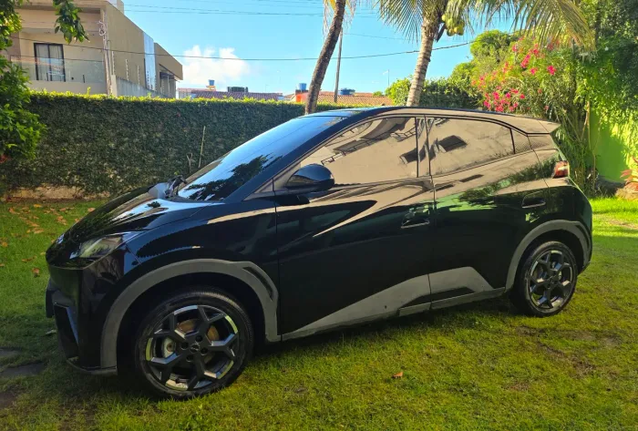 BYD Dolphin Mini (Elétrico) 2027