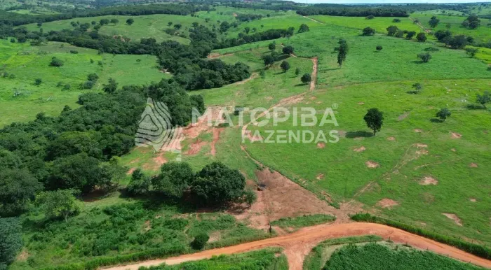 Fazenda à venda em Correntina - BA | 106 hectares, pastagem e rio