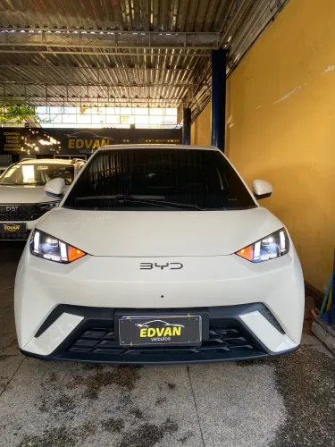 BYD Dolphin Mini (Elétrico) 2027
