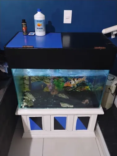 Aquário de 200 litros completo.