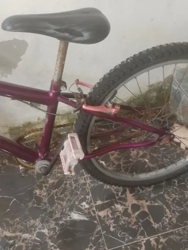 Bike aro 24