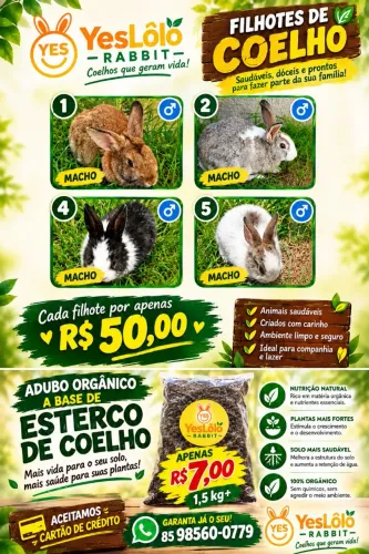 Coelhos