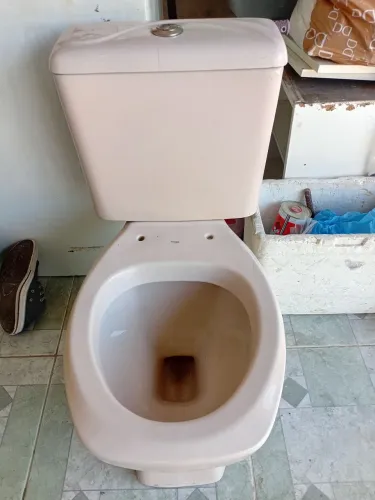Vaso sanitário rosa