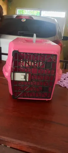 Caixa de transporte de animais 