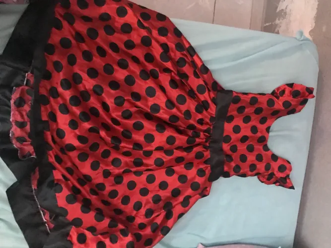 Vestido tema aniversário Ladybog