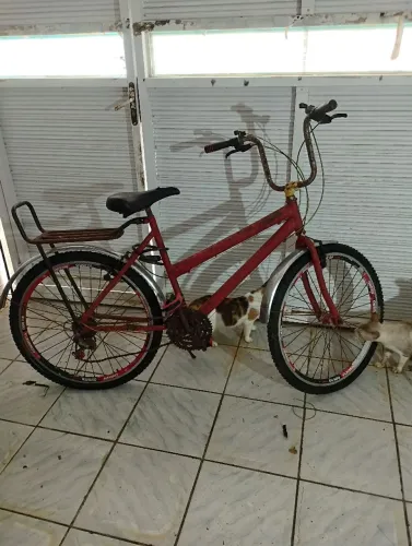 Bicicleta usada