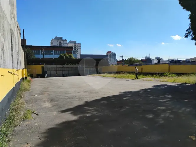 Terreno para locação em Vila santa catarina - SP