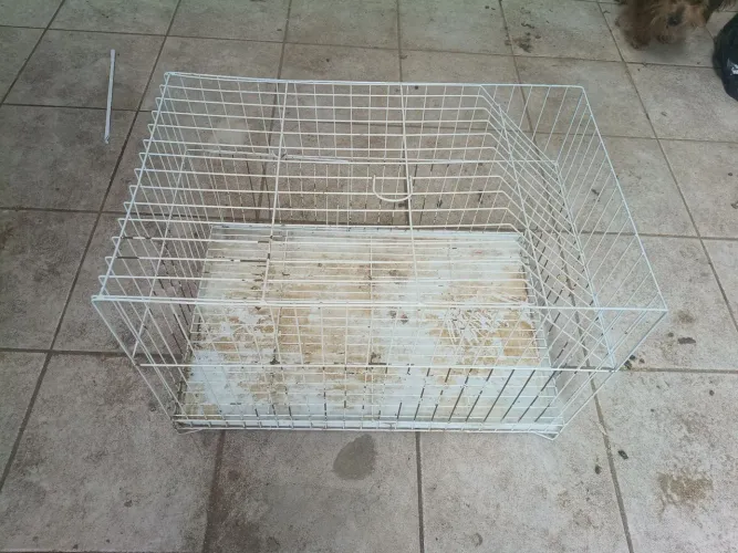 Vende-se uma Gaiola pra coelho