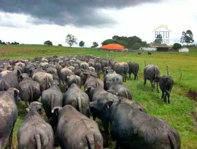 Fazenda para venda possui 2986594 metros quadrados