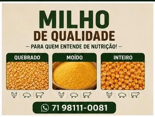 Sacas de milhos ?