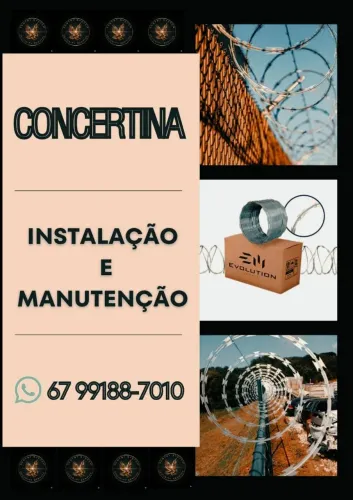 Concertina: Barreira Inviolável para o seu Muro