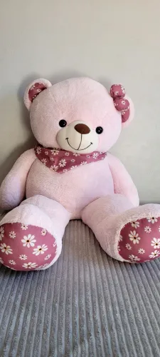 Ursa gigante