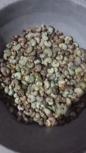Castanha de caju 