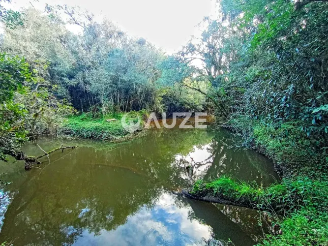 Maravilhosa Chácara à venda, Colônia Murici, São José dos Pinhais, PR