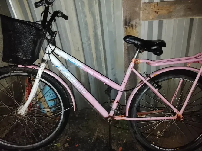 Bicicleta