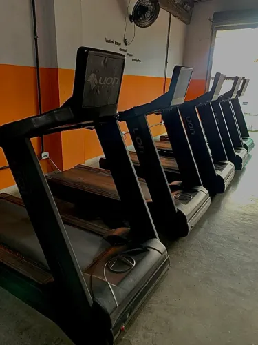 Esteira Profissional Lion x4