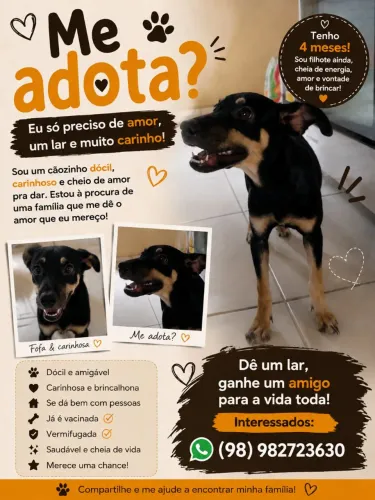Para doação