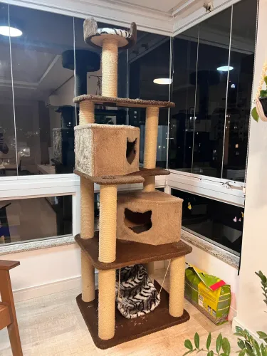 Casinha de gato