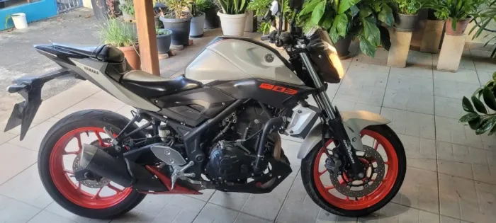 MT-03 Cinza 321cc 2020