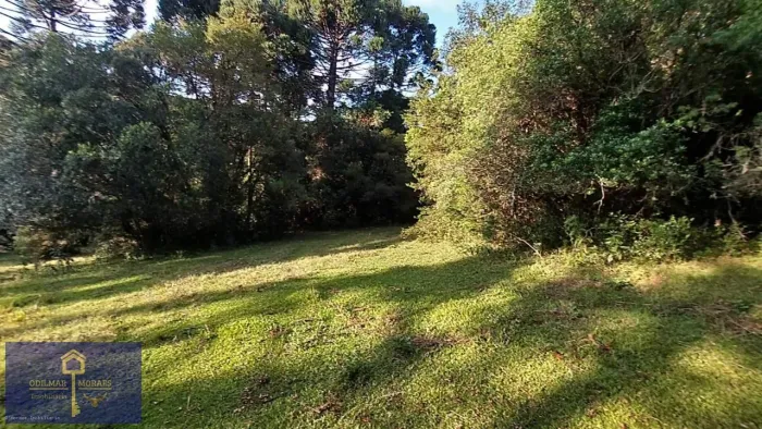 Terreno Rural para Venda em Lages, Santa Teresinha do Salto