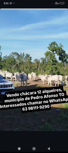 Vendo chácara 12 alqueires município de Pedro Afonso TO,