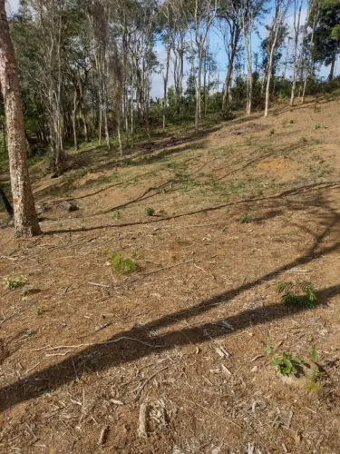 ? TERRENO À VENDA - 20.017,810 m² | ACEITO TROCA | PAGAMENTO FACILITADO