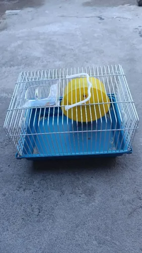 Gaiola para hamster em Maceió