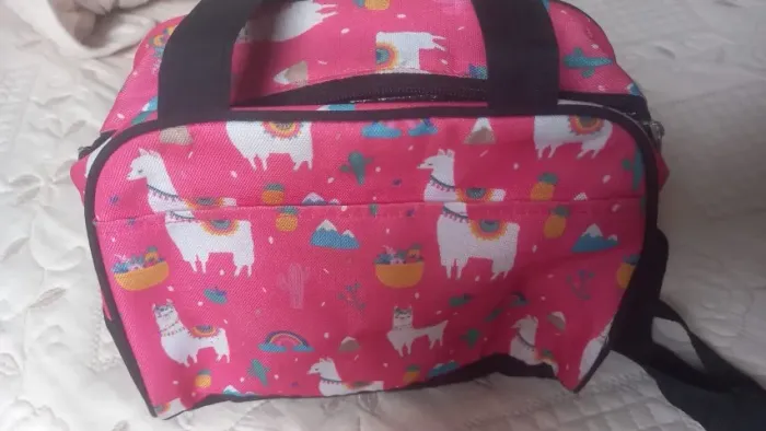Bolsa térmica com zíper seminova.