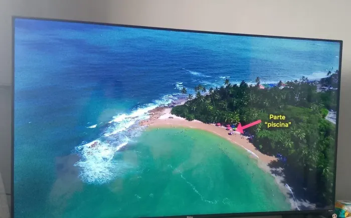 Vendo televisão