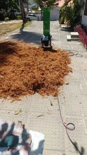 Triturador de coco verde e seco trapp