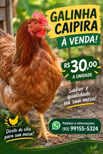 Galinha caipira