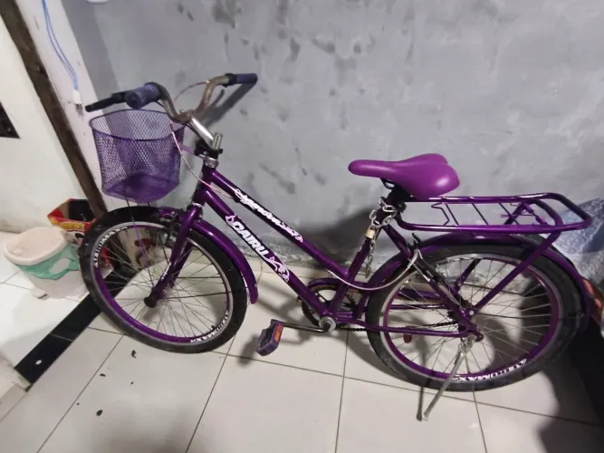 Bicicleta cairu