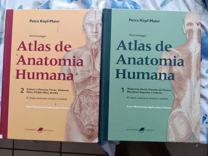 Atlas Anatomia Humana