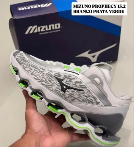 Mizuno prophecy 13