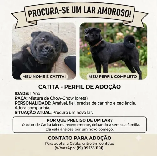Doa-se cachorra