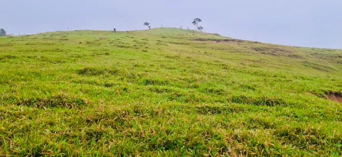 SÍTIO 16,8 ALQUEIRES EM CORUMBATAÍ
