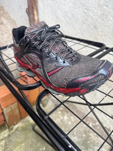 Mizuno Wave prophecy 1