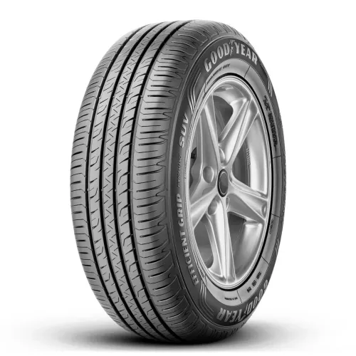 2 Pneus Goodyear Efficientgrip 
