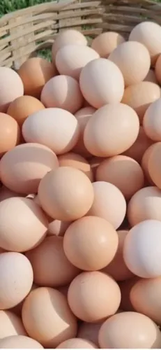 Ovos caipira